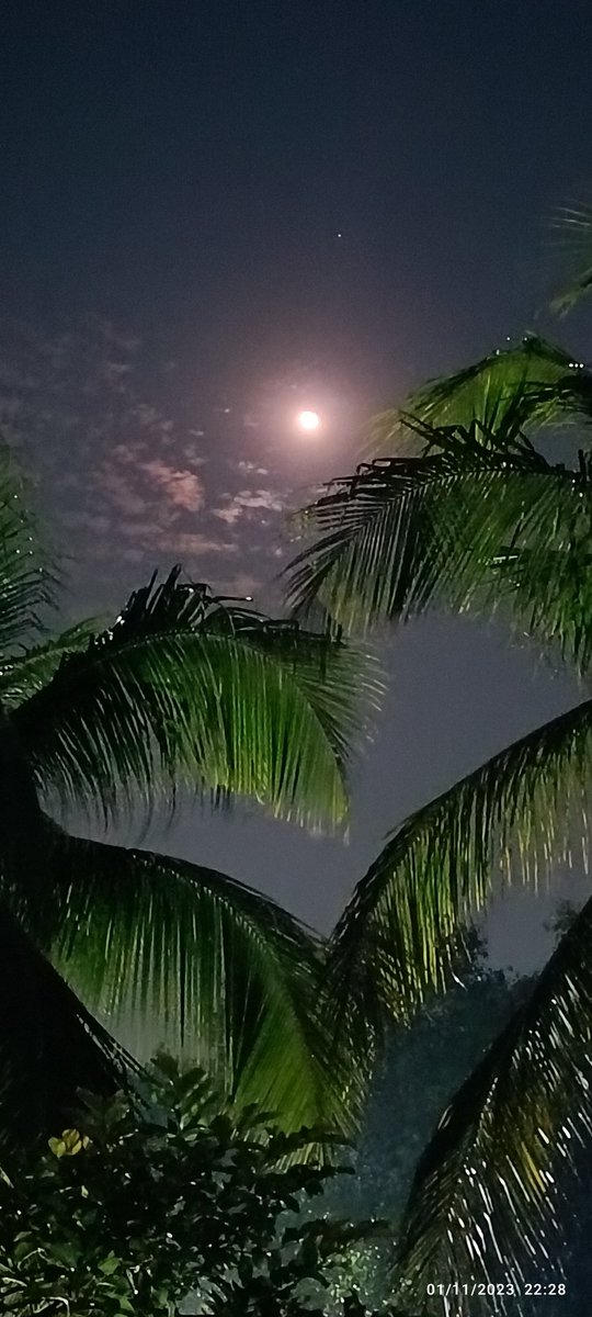 SUMIT_08M's tweet photo. Sushant Believed In Himself 🌿 ☘️ ❤️
#JusticeForSushantSinghRajput
💞@itsSSR 💞
🦋 🦋 🦋
#4YearsOfSSRAsSamar
#SushantSinghRajput
4Yrs Of Sushant As Samar 🚙 💞
#SushantMoon 🌕
#MyClick ❤️ ❤️ https://t.co/rmhhfdTTaE