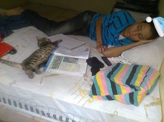 5 minutos despues de tomar la decisión de estudiar en la cama