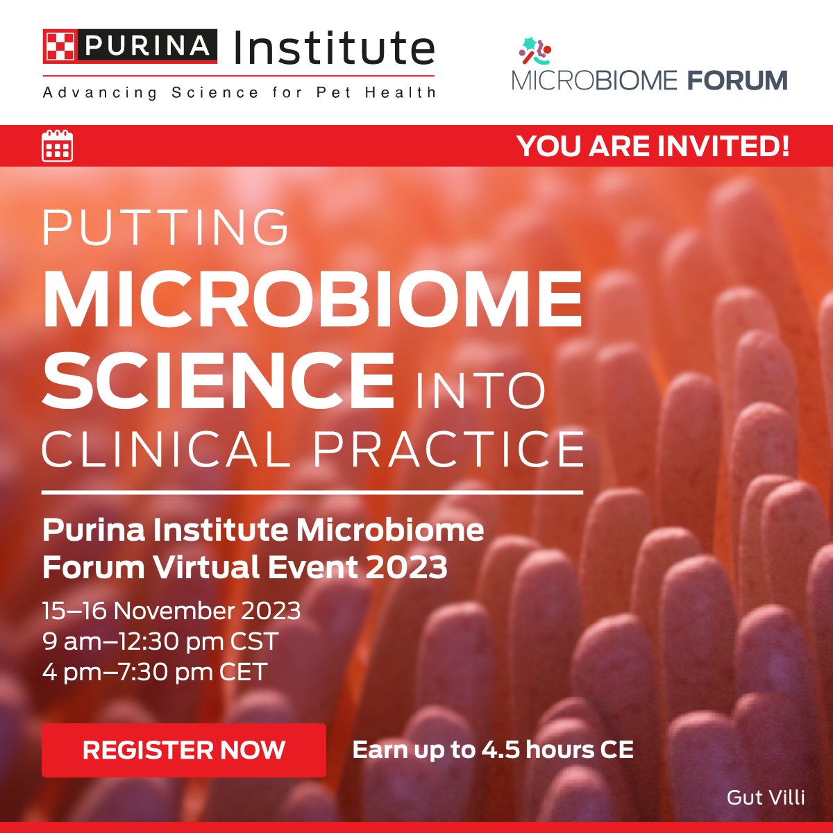 PurinaInstitute's tweet photo. Join expert speakers Jan Suchodolski and Katie Tolbert of @tamuvetmed, Kathrin Busch of @LMU_Muenchen, Julien Dandrieux of @TheDickVet, Jessica Quimby of @OSUVetCollege, Holger Volk of (#Tiho) and Melanie Werner of @uzh_vetsuisse on 15-16th November to discuss topics ranging from intestinal dysbiosis diagnostics and interpretation to new acute diarrhea management guidelines to the gut-kidney acid in chronic kidney disease, and much more. Register now at ➡️ https://t.co/FpCVwkgB88
#Microbiome #VetMed #Veterinarian #SmallAnimalVet