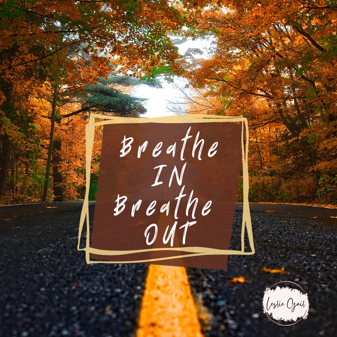 essentiallynow's tweet photo. Todays tip is simple 🥰 
.
.
Just breathe 🧘‍♀️ There’s a lot going on in the world 🌎 Grab your Adaptiv essential oil blend or the Shinrin Yoku blend, breathe in and get centered. 
.
.
Sending you all love and light 💡 
.
.
Head to my Bio and click on my YouTube channel for a 10 https://t.co/uYbvPkGBzz