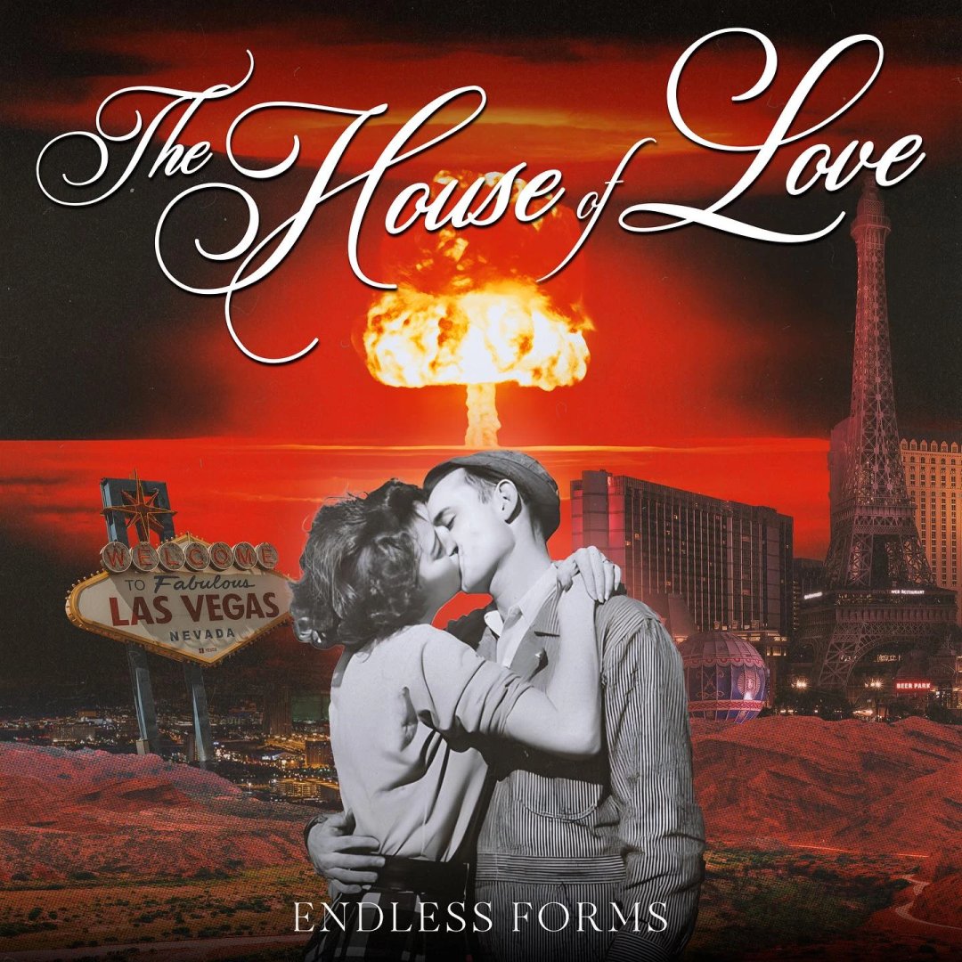 v13media's tweet image. Lustrously misty yet alive with rib-cage-shuddering basslines, ‘The House of Love,&apos; from @_EndlessForms, offers gliding, gossamer filaments, and rich, glossy vocals. #albumreview
✍️: @groupatoldpink
🔗: v13.net/2023/11/endles…
#EndlessForms #AlbumReview #NewMusic