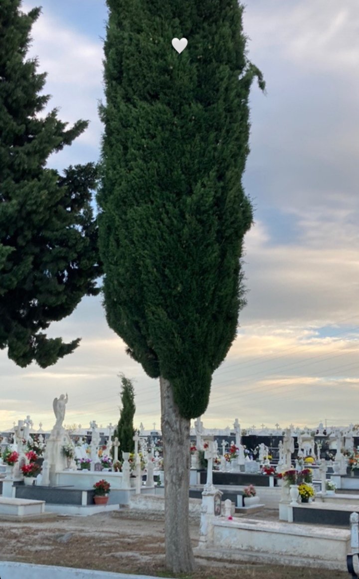 te quiero por siempre abuelo 🤍
