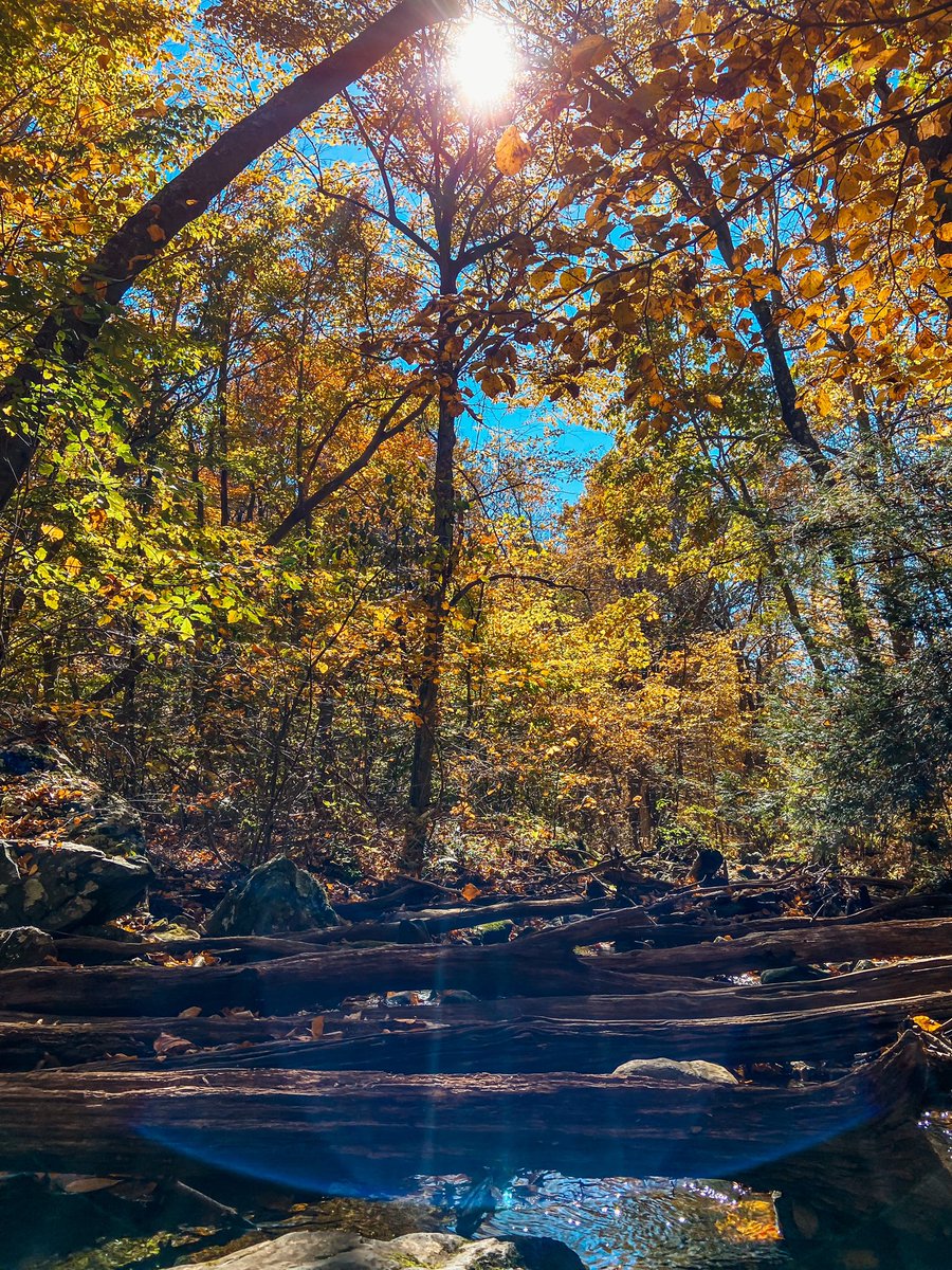 Shenandoah National Park🏞️ 
Fall has the most beautiful colors to do hiking🍁🍂😍 
.
.
.
.
#hiking #thefall #shenandoah #nationalpark #virginia #skyline #fallseason