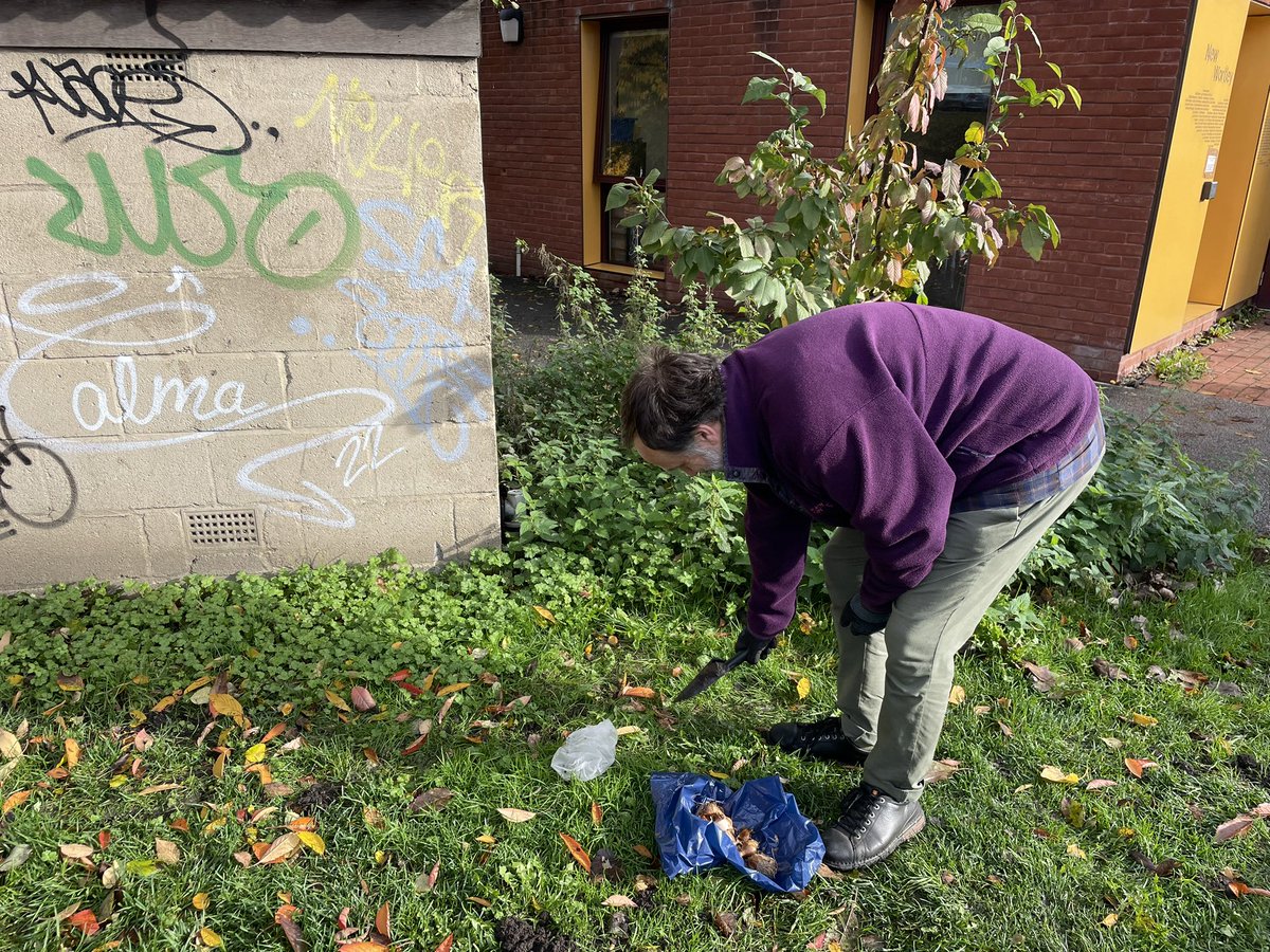 What a fantastic day with volunteers on the Armley #CorridorofColour Project. Over 600 bulbs planted can’t wait to see them in the spring