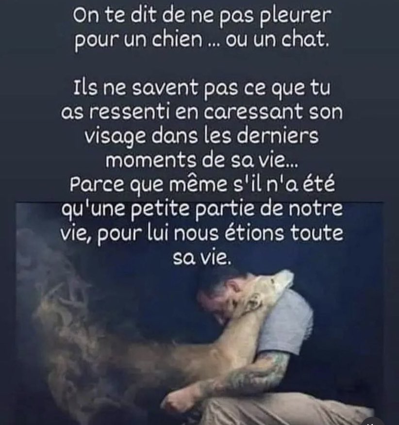 mic57330021's tweet image. Je me souviens du départ de mon denier chien… j’ai retenu mes larmes devant le vétérinaire, par fierté… je suis rentré chez moi, j’étais seul… alors je me suis mis à hurler…. Toute ma peine s’évacuait…. J’ai pris ses affaires et ai tout mis dans le coffre de la voiture. Je