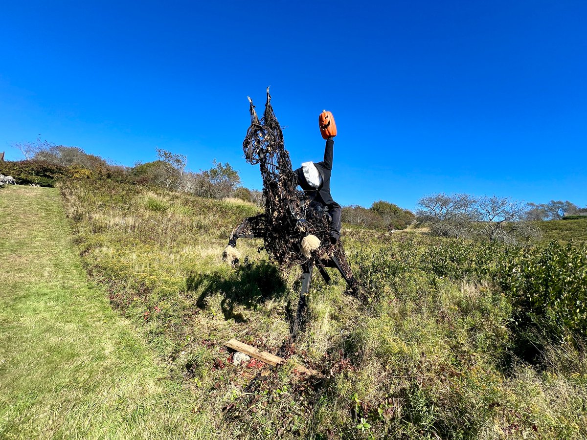 BlockIslandOrganics tweet media