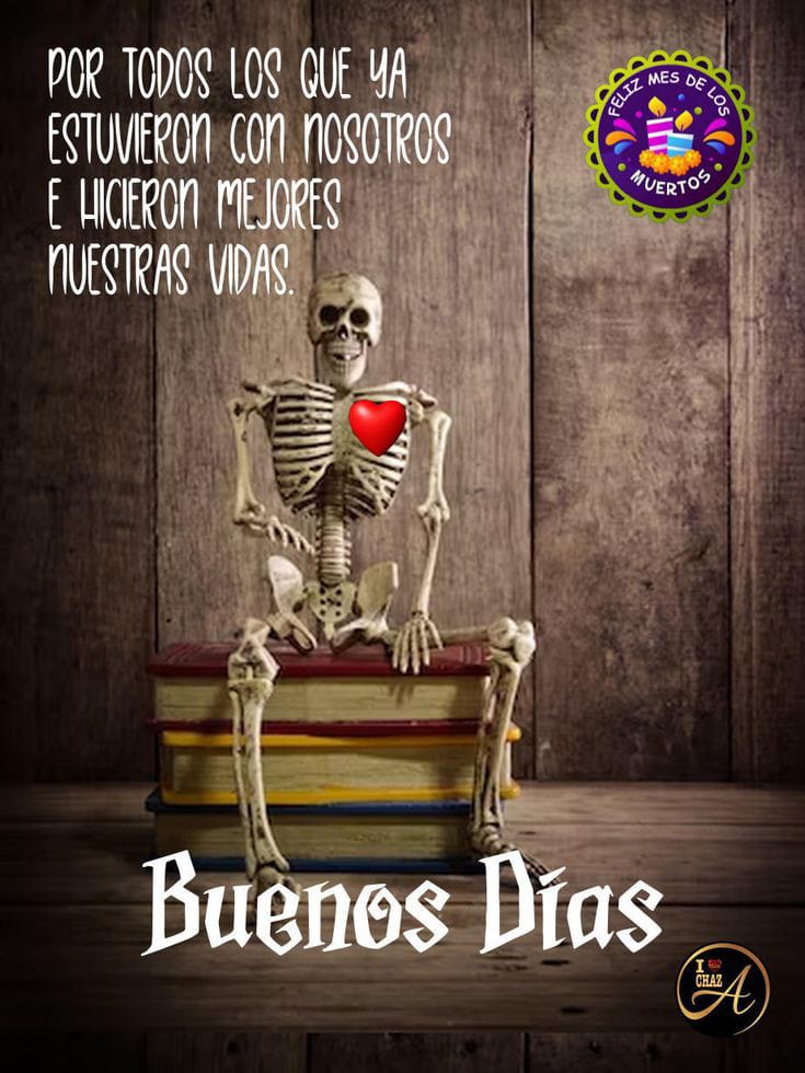 ANA PALAMAR (@palafox_bertha) on Twitter photo 