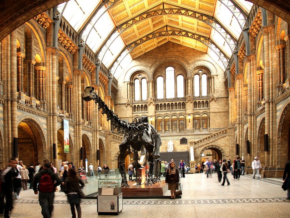 liddsg's tweet photo. LEGO ha sacado su versión del Museo de Historia Natural como parte de los LEGO Icons y no puedo ser más fan 😍 https://t.co/Czft8HXp41