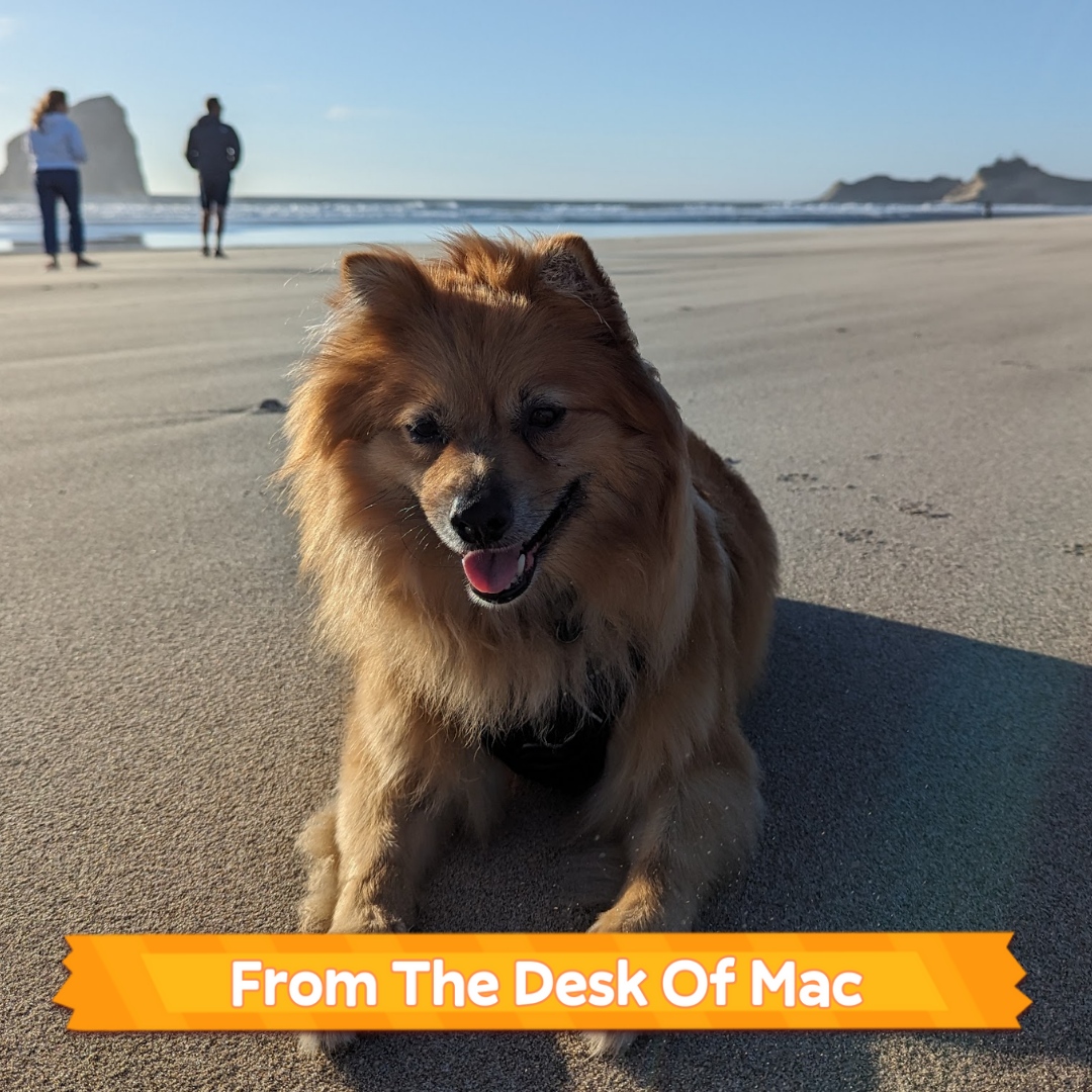 The October Lost Native Newsletter came out last night, and it's waiting for you! 

Get a recap of everything we've been up to with <a href="/PlayWildCountry/">Wild Country 👉 OUT NOW!</a> and a motivational quote from our Head of People, Mac. 

➡️ lostnative.substack.com