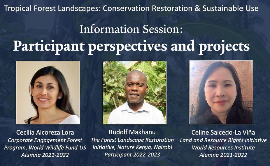 Have questions about the Tropical Forest Landscapes certificate Program? Hear what past participants have to say about their experiences during our Participant Perspectives and Projects panel. Check out the webinar on our Youtube channel! youtube.com/watch?v=M2t8k_…