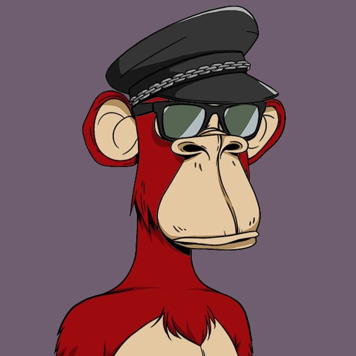 MEHMET KARATAŞ tweet media