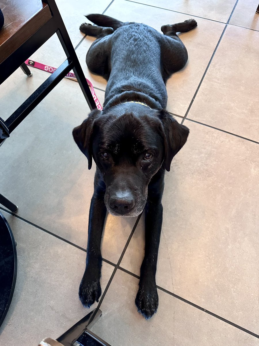 Kayla Moncayo tweet media