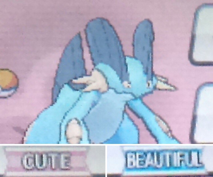 Pokemon Gems tweet media