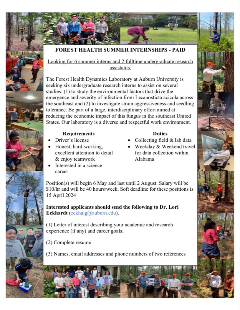 If anyone knows of any students looking for a job, send them our way!Full time positions are required to be filled by Auburn University students. However, summer positions can be anyone (high school or college) looking for experience. We would love to hear from those interested!