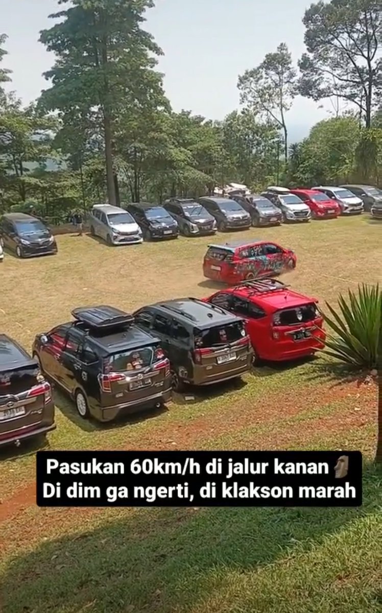Emang boleh fakta secerah ini?