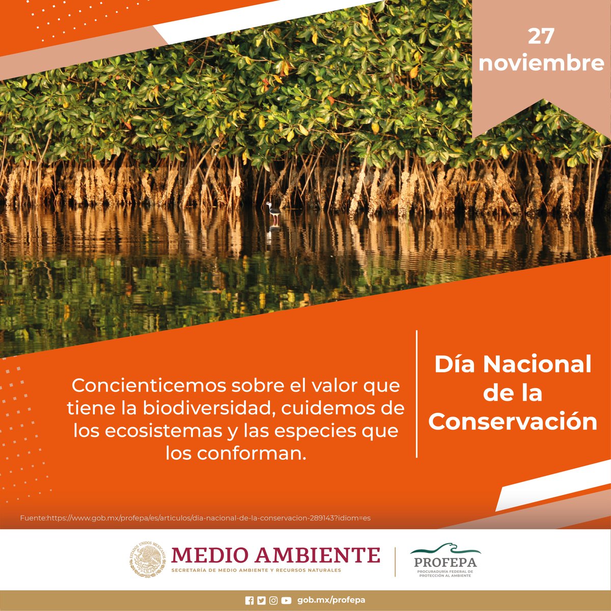 🌎💚Los ecosistemas son nuestra primera línea de defensa contra el cambio climático. 

🏞️En el Día de la Conservación, reafirmemos nuestro compromiso con la restauración y protección de nuestros bosques, océanos y tierras.