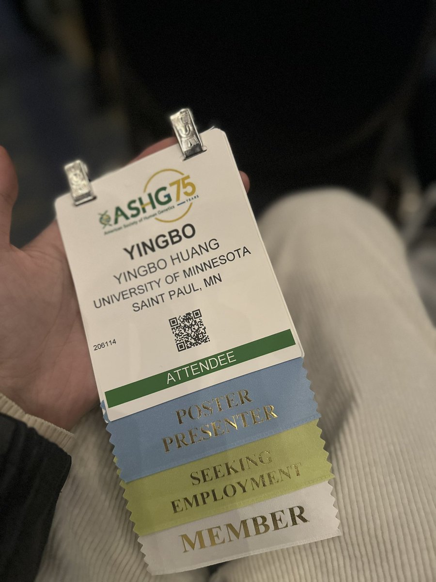 Yingbo Huang tweet media