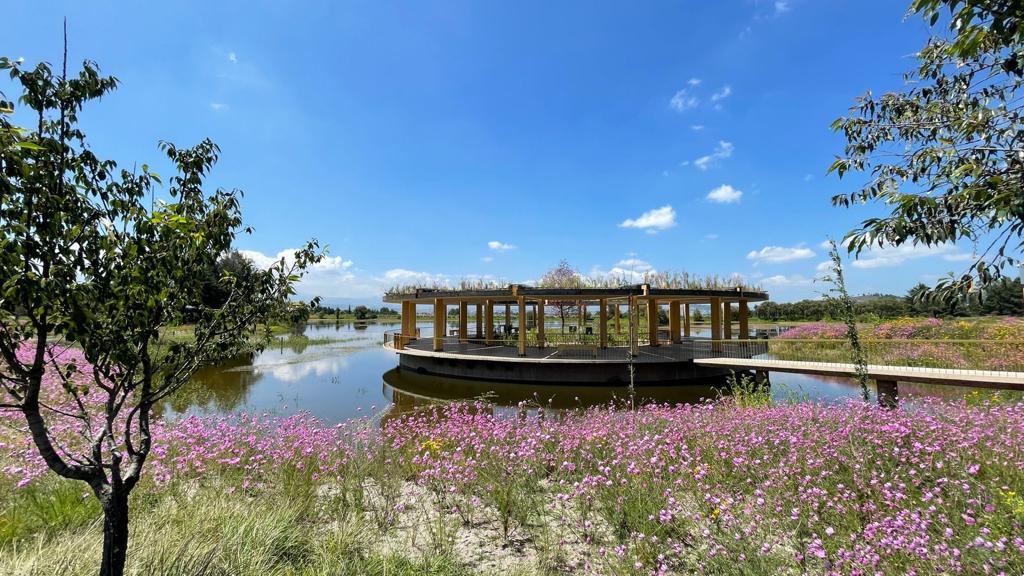 El Parque de la Ciencia Sierra Morelos tiene un montón de actividades educativas y espacios recreativos por sólo $35 pesitos✨ ¡Visítalo!🏞
tinyurl.com/46dz2w76