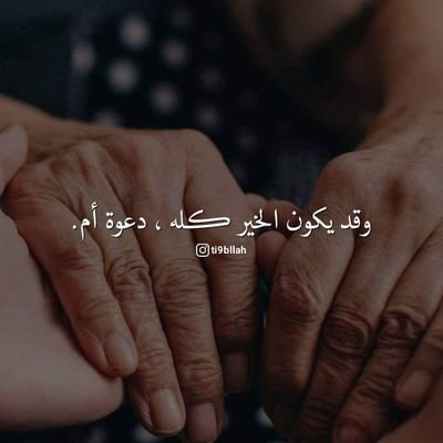 yiğit söğüt tweet media