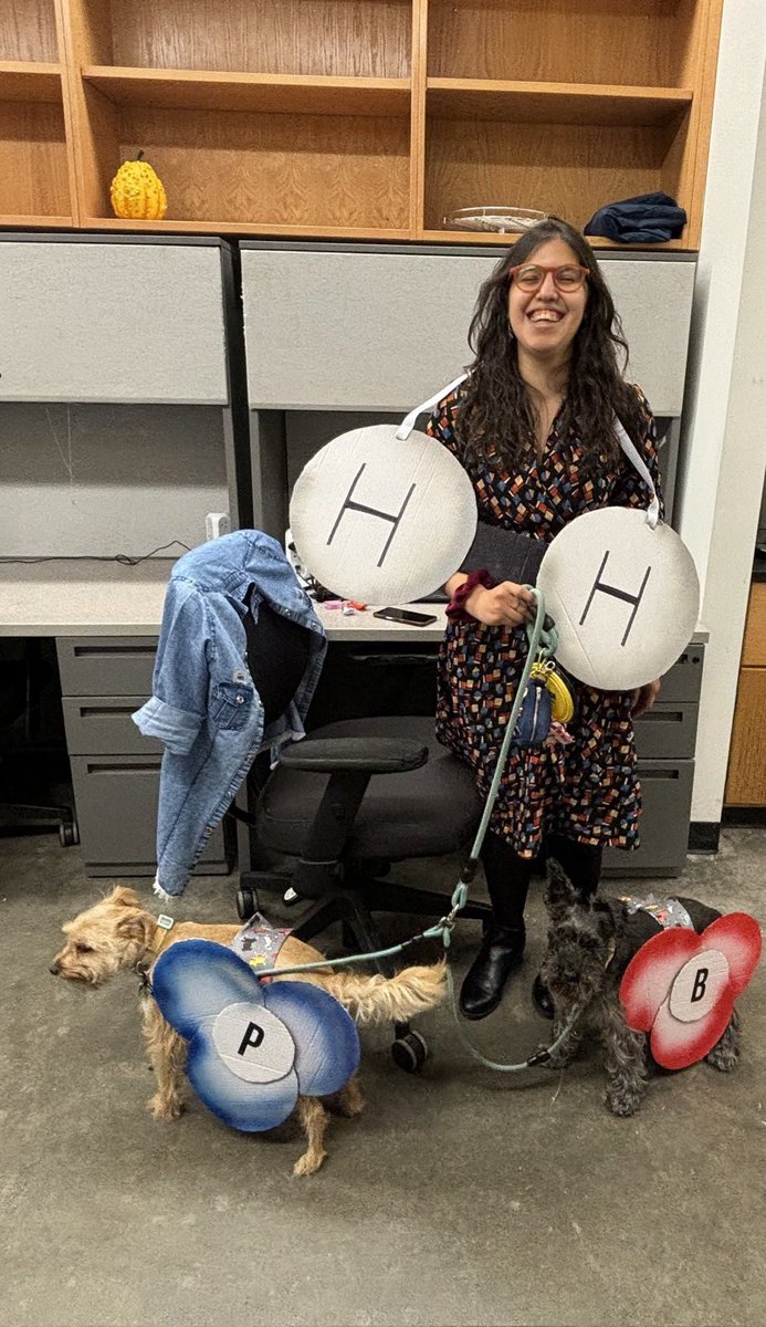 Yruegas Group tweet media