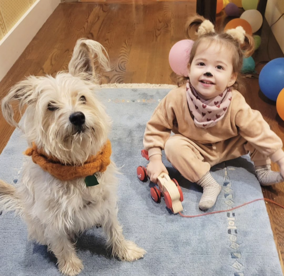 It's been a long time since I've posted but I feel compelled to share our two daughters dressed as identical twins for Halloween (📸<a href="/babybacalling/">Katie</a>)