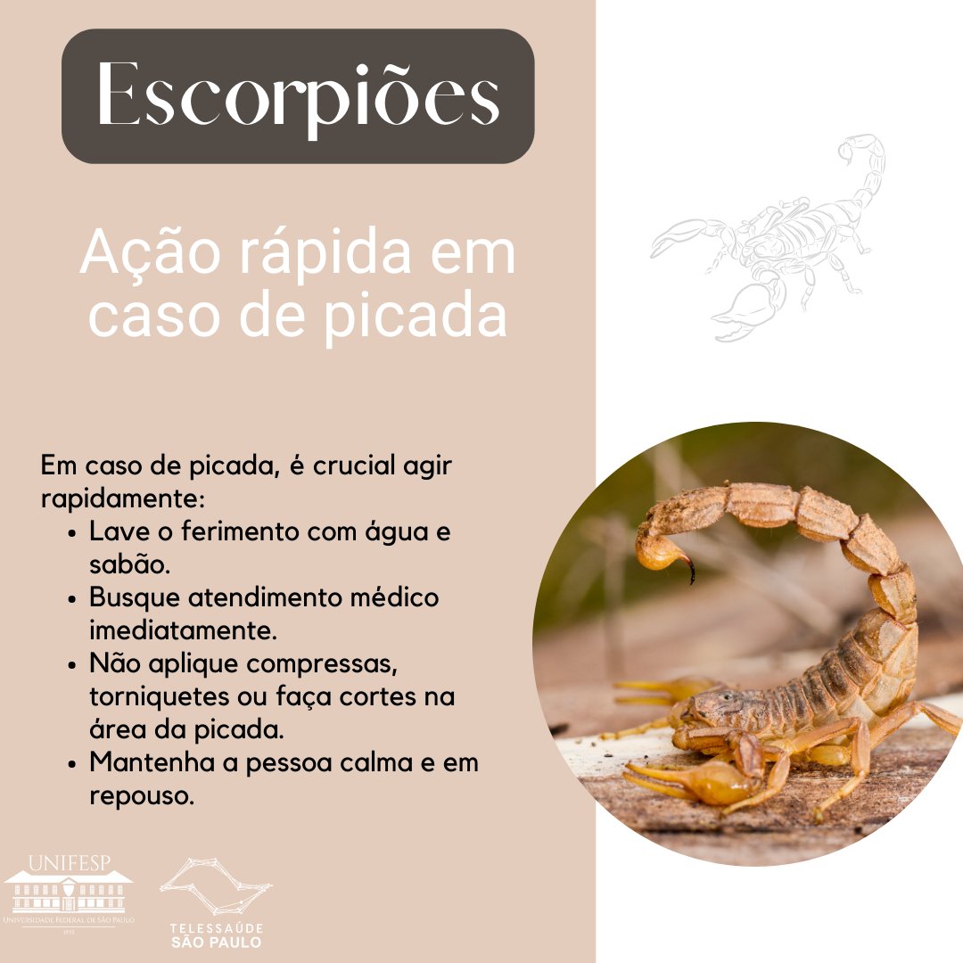 teleunifesp's tweet photo. 🦂 Os acidentes com #escorpiões aumentaram em diversos estados brasileiros em 2023. Só em São Paulo, a Secretaria de Estado da Saúde registrou 24,2 mil casos até julho de 2023 – um número 13% maior que o do mesmo período de 2022:

https://t.co/hBFiHUUNe1 https://t.co/WXXgNi6tWK