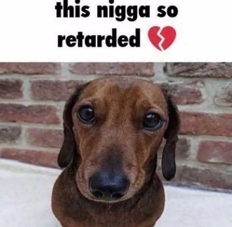 retardgenesis's tweet photo. @MoneyLikeRice @9mmsmg @judgeandjoory Don’t you feel silly https://t.co/j6dLmdbKFo