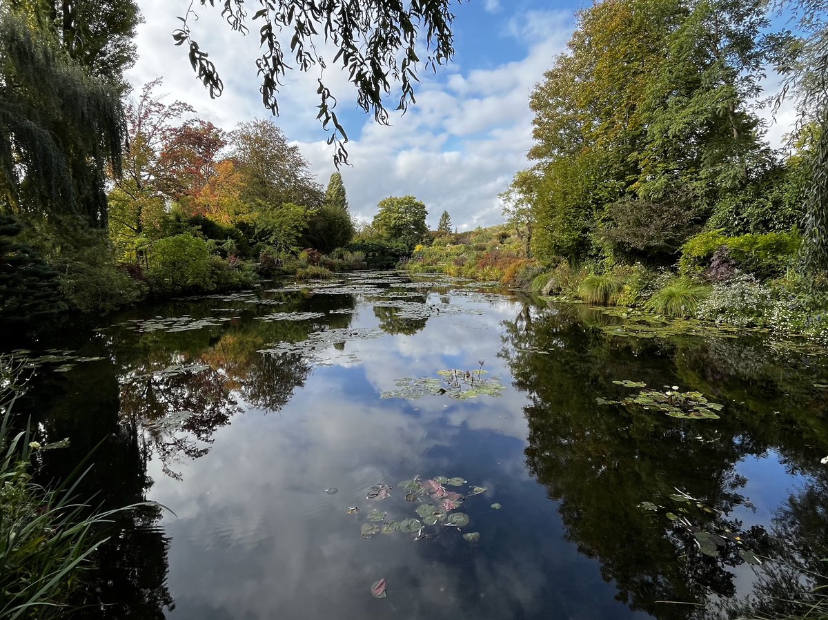 prosenesq's tweet photo. @BraydenCreation #water Water Lilly pond in Monet’s garden in Giverny, France (from travels last month) https://t.co/qUp7IxRFst