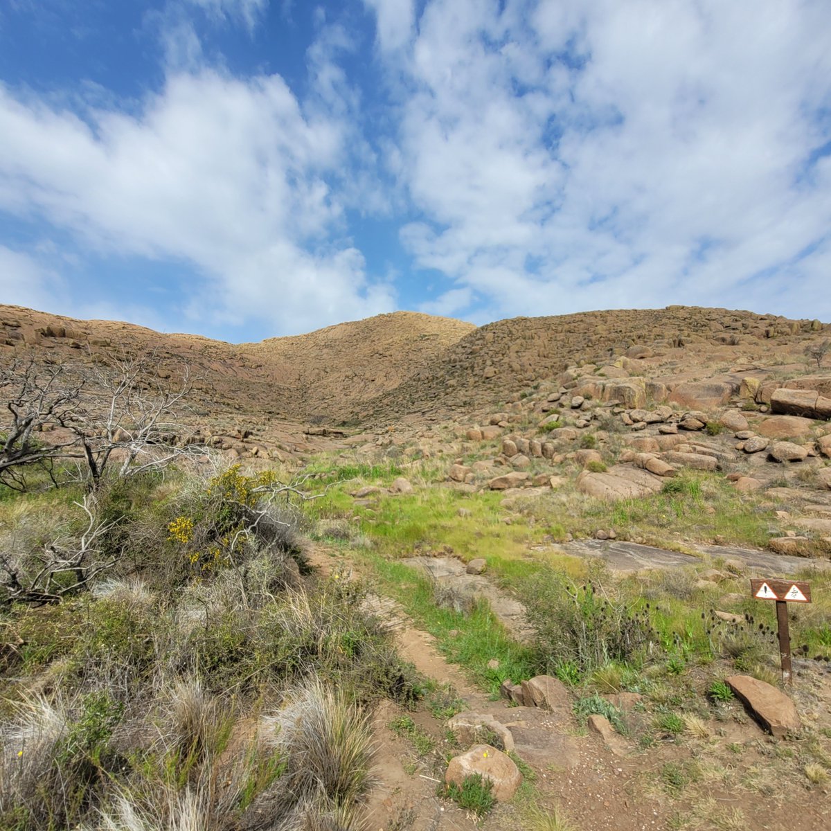 Laboratorio de Biologia Reproductiva y Evolución tweet media