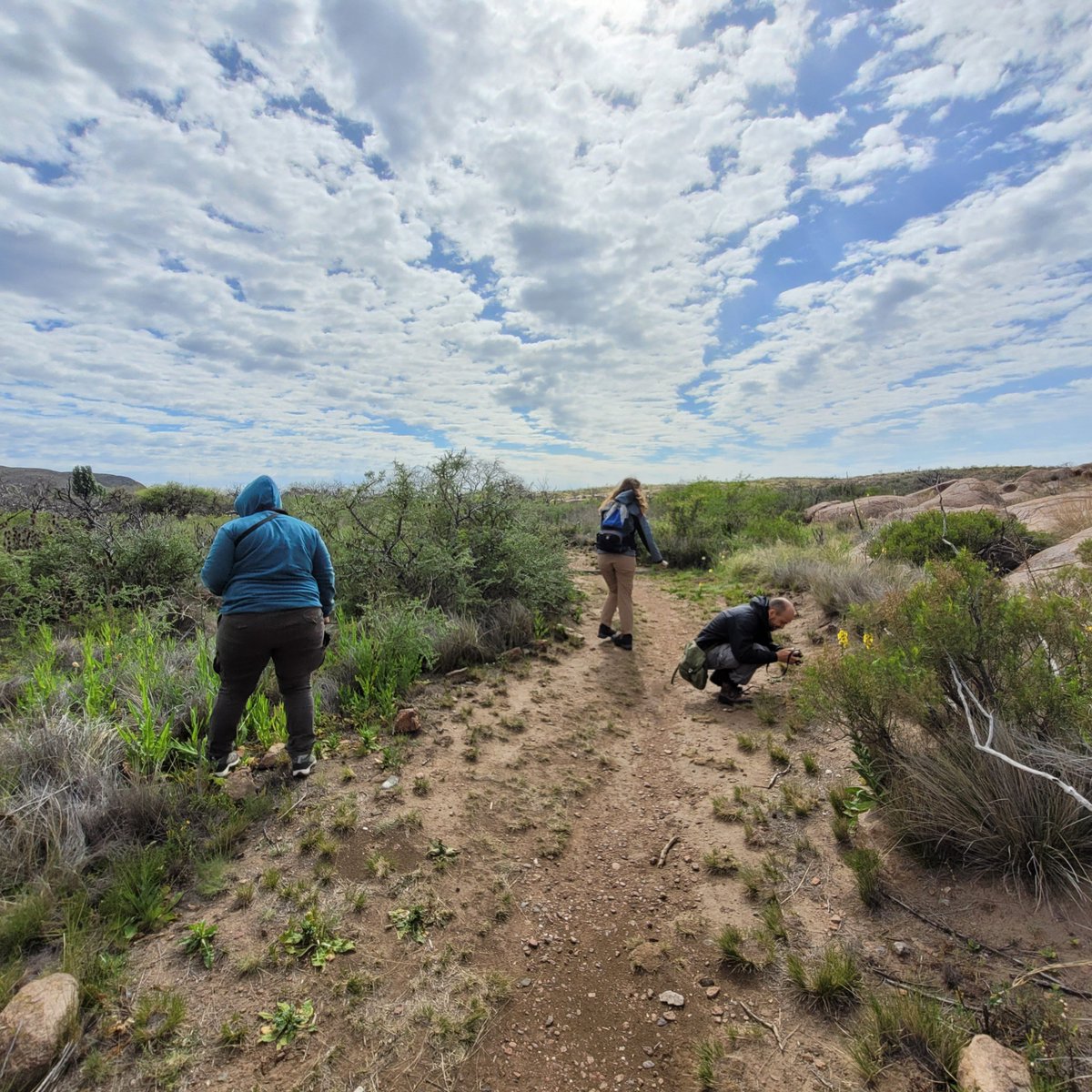 Laboratorio de Biologia Reproductiva y Evolución tweet media