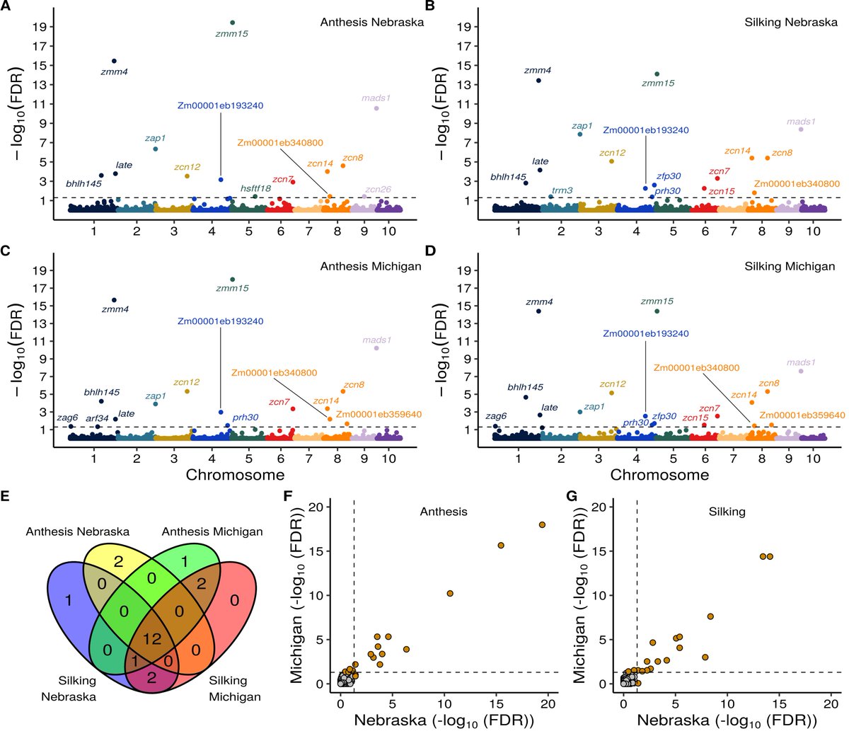 James Schnable (@szintri) on Twitter photo The cleanest manhattan plot we’ve ever produced in my lab. Part of a new preprint led by <a href="/vla_torres/">Vladimir Torres, PhD</a> linking genes to roles in determining flowering time using expression data using RNA collected from nearly 700 kinds of maize (corn). (1/7) biorxiv.org/content/10.110… The cleanest manhattan plot we’ve ever produced in my lab. Part of a new preprint led by <a href="/vla_torres/">Vladimir Torres, PhD</a> linking genes to roles in determining flowering time using expression data using RNA collected from nearly 700 kinds of maize (corn). (1/7) biorxiv.org/content/10.110…