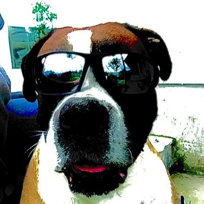 Jesus Romero tweet media