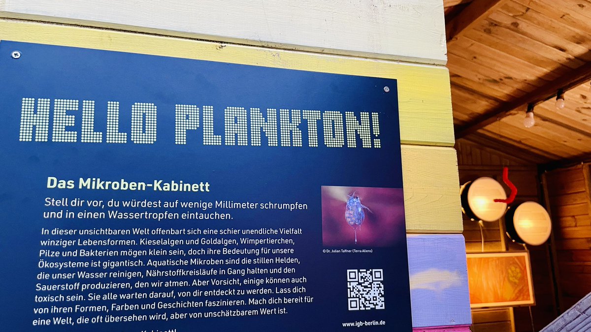 LeibnizIGB's tweet photo. Finally here: the 8th #BerlinScienceWeek! Visit our IGB Tiny Gallery at @Holzmarkt25 and explore the fascinating #diversity of (tiny) aquatic life! From now until 10 November. Check out the #Art &amp; #Science Forum programme > https://t.co/vbPoiOG9ov https://t.co/U0crjoepw3