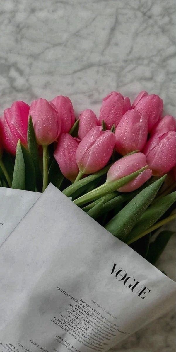 pink tulips
