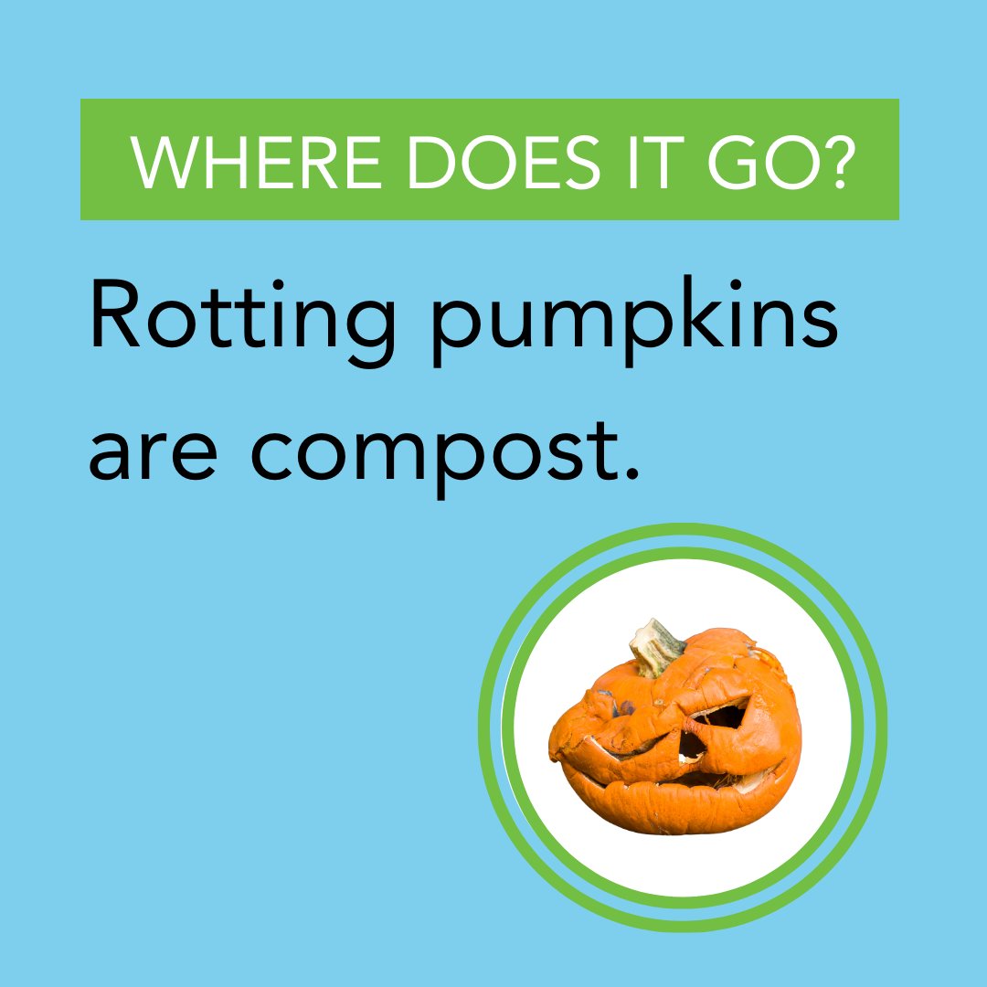 RecologyKC's tweet photo. Rotting or moldy pumpkins are compostable! We know about 1.3 billion pounds of pumpkins are thrown in the trash each year, so let's do our part to keep the compost cycle going, and keep these out of the landfill 🎃 #WDIGW https://t.co/e9axRD0dKB