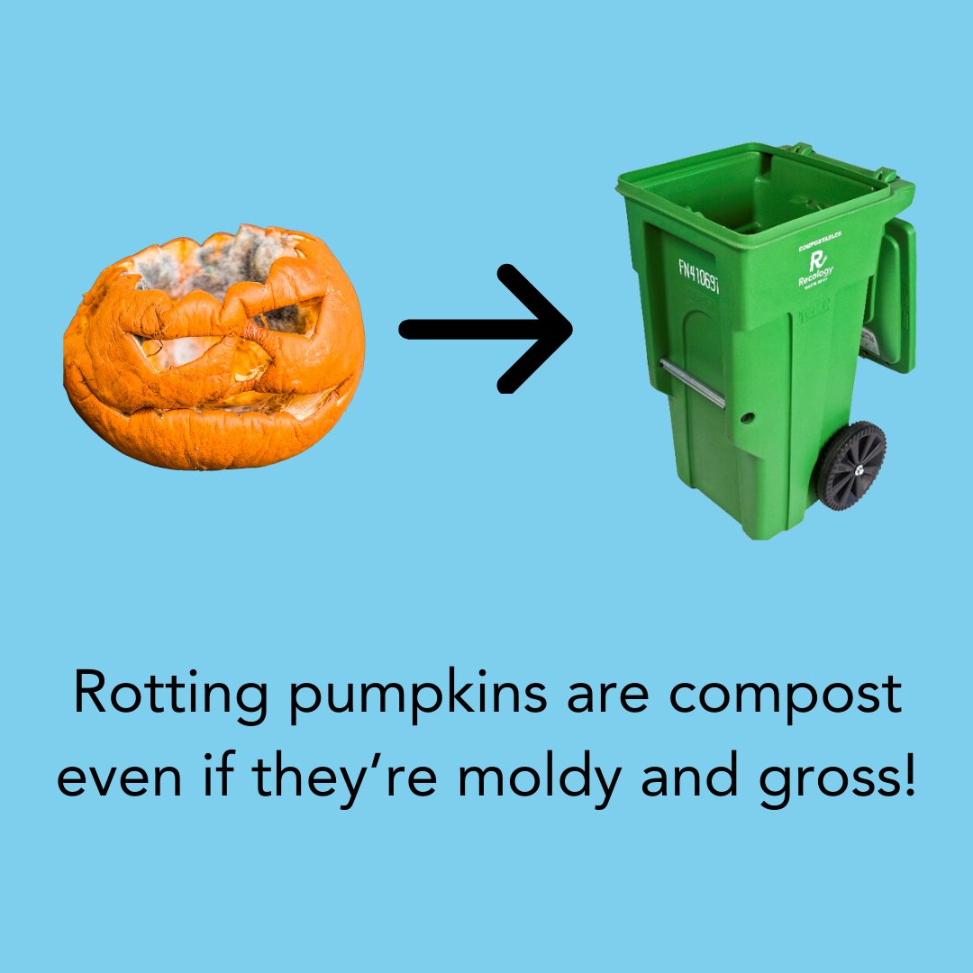 RecologyKC's tweet photo. Rotting or moldy pumpkins are compostable! We know about 1.3 billion pounds of pumpkins are thrown in the trash each year, so let's do our part to keep the compost cycle going, and keep these out of the landfill 🎃 #WDIGW https://t.co/e9axRD0dKB