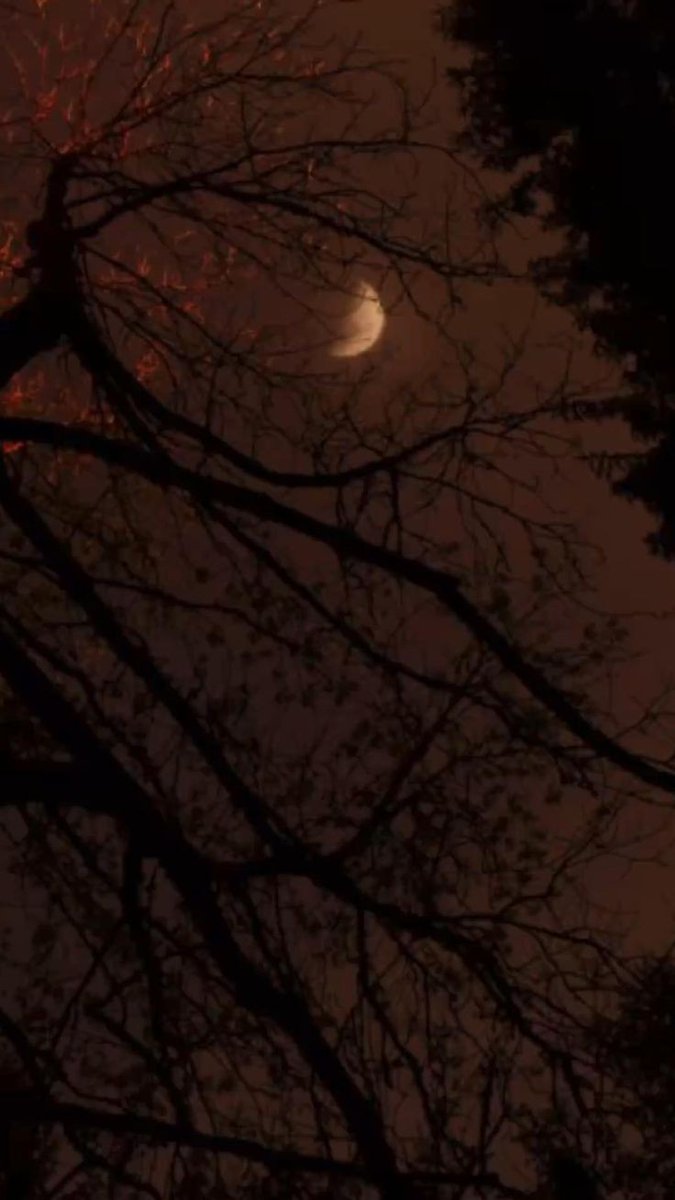 OKaragouni's tweet photo. My Lament: November,,🖤//

https://t.co/Bh2n7mr7oR

...i loved you 
in November...

when the stars 
were out,,

now I′m walking 
in the rain
dying to surrender..

within,,
 without,,

 ...i loved you
 in November...🍂

and all the world
 is green... https://t.co/zICr0b6YKY