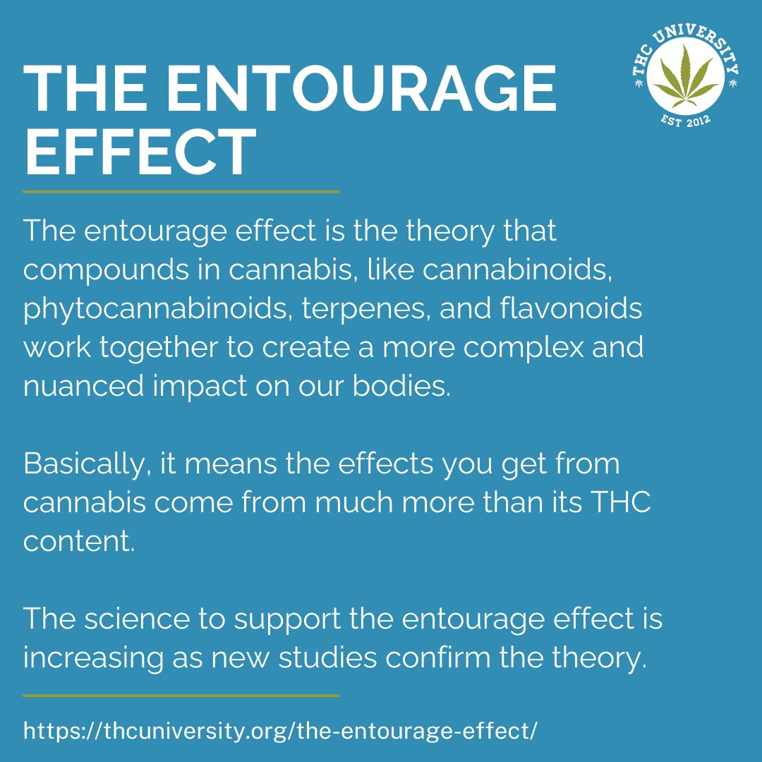 THC University tweet media