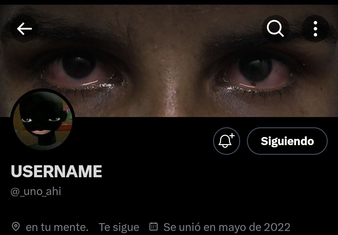 mesalelapinga tweet media