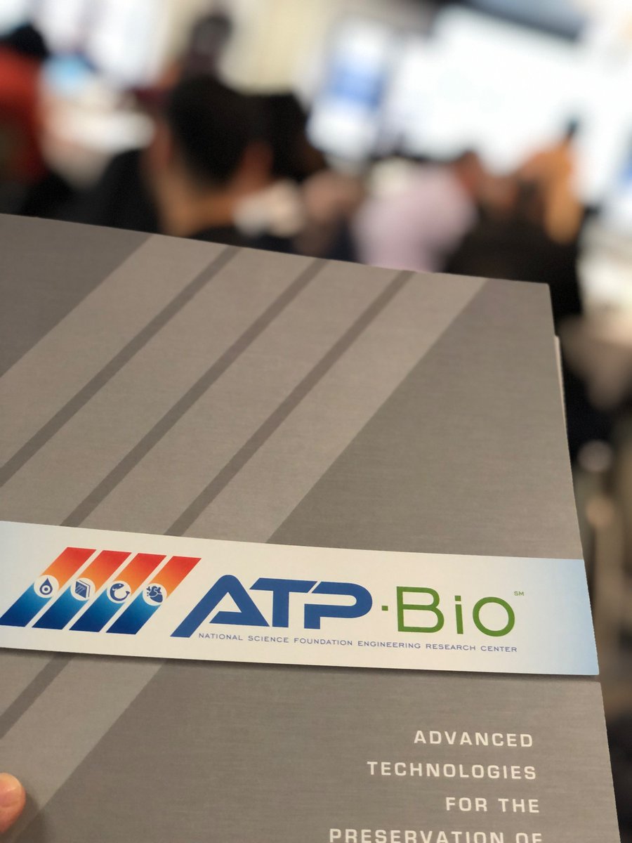 Rasha Al-attar tweet media