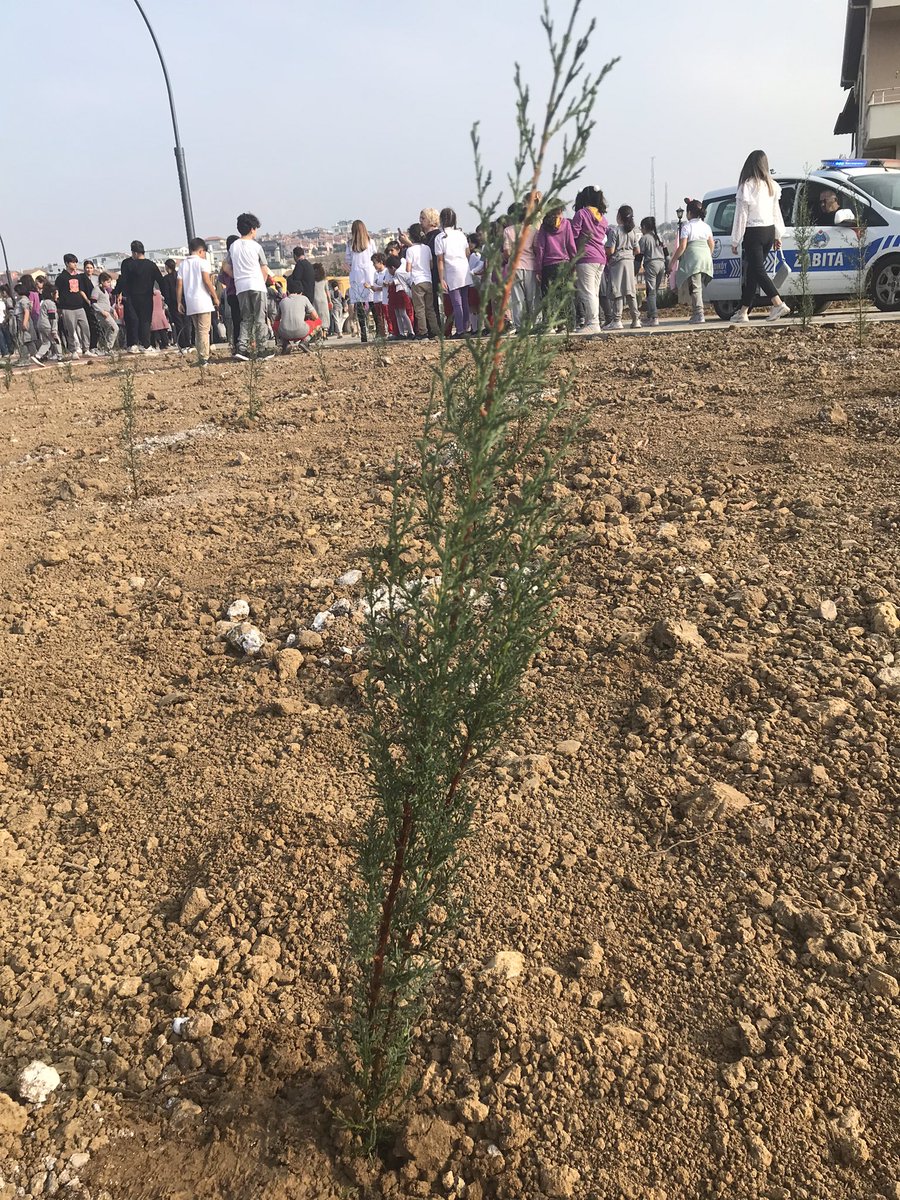 Gökay Samih Piranoğlu tweet media