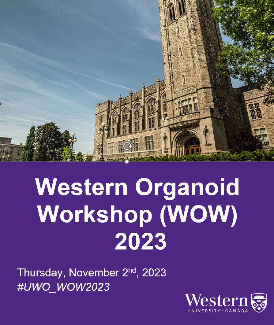 Gearing up for our 2nd Western Organoid Workshop (WOW) tomorrow. It'll be an exciting day of organoid research and posters! #UWO_WOW2023