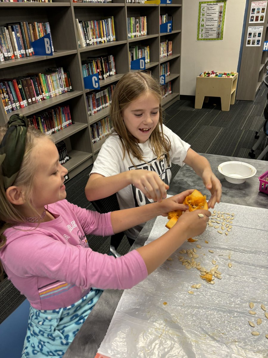 Sarah Song tweet media