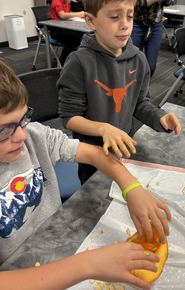 Sarah Song tweet media