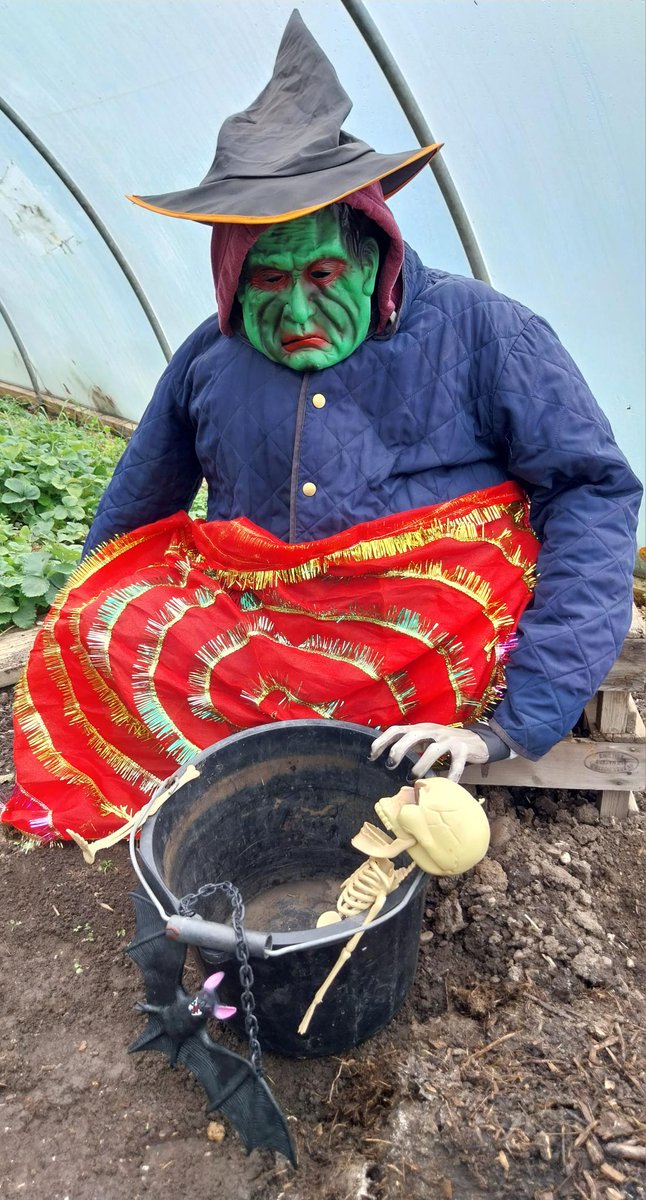 The gardeners at our Me Time project in Nottingham made the most of the spooky season by turning their polytunnel into a Terror Tunnel! 👻 Instead of the usual vegetables the team grows there, for Halloween they packed it full of creepy craft creations.