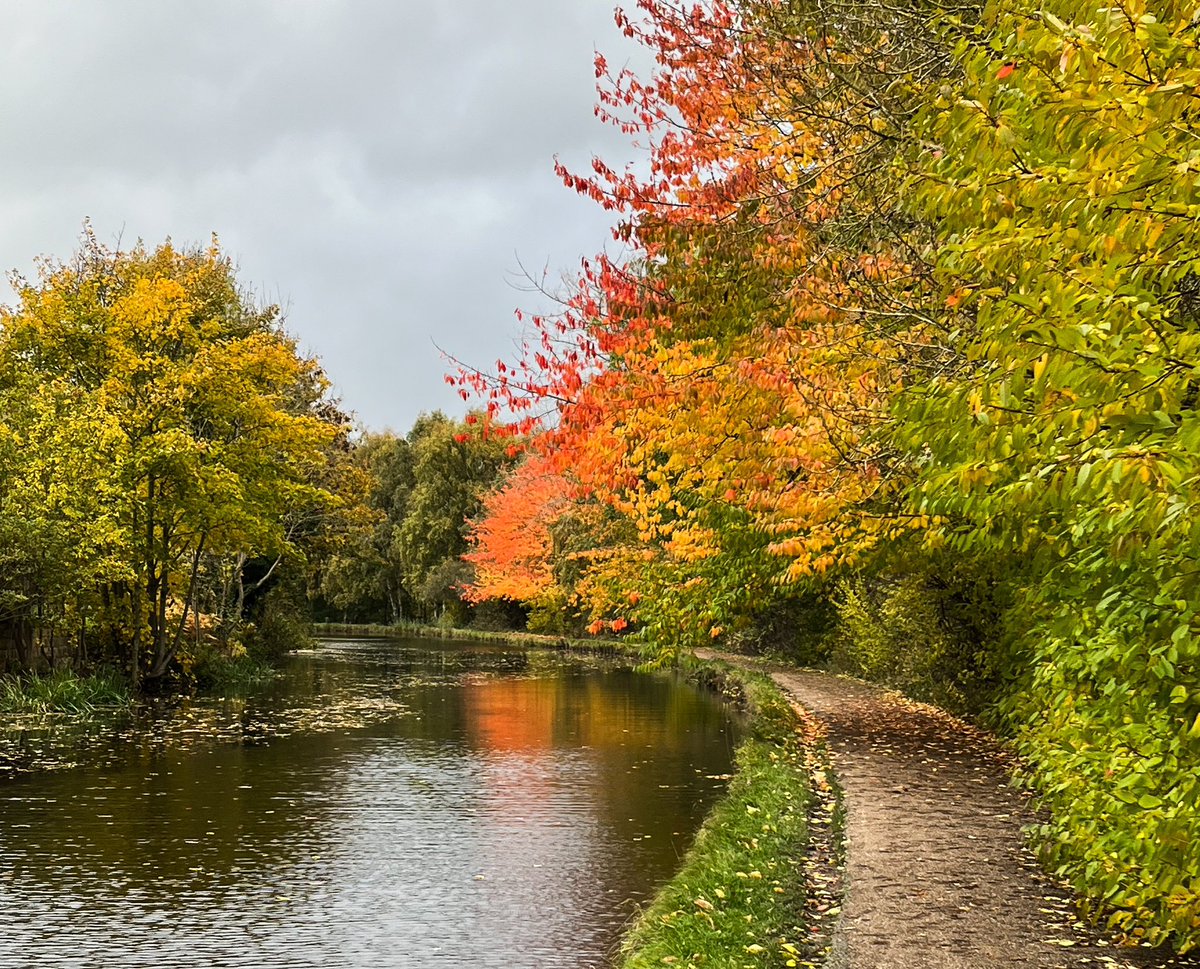 Bit late in the year, but Autumn has well and truly arrived <a href="/CanalRiverTrust/">Canal & River Trust</a> #leeds #liverpool <a href="/WLDispatch/">West Leeds Dispatch</a> <a href="/allanhoward58/">CROWN & ANCHOR RODLEY</a> <a href="/FarsleyMarket/">Farsley Farmers Market</a>