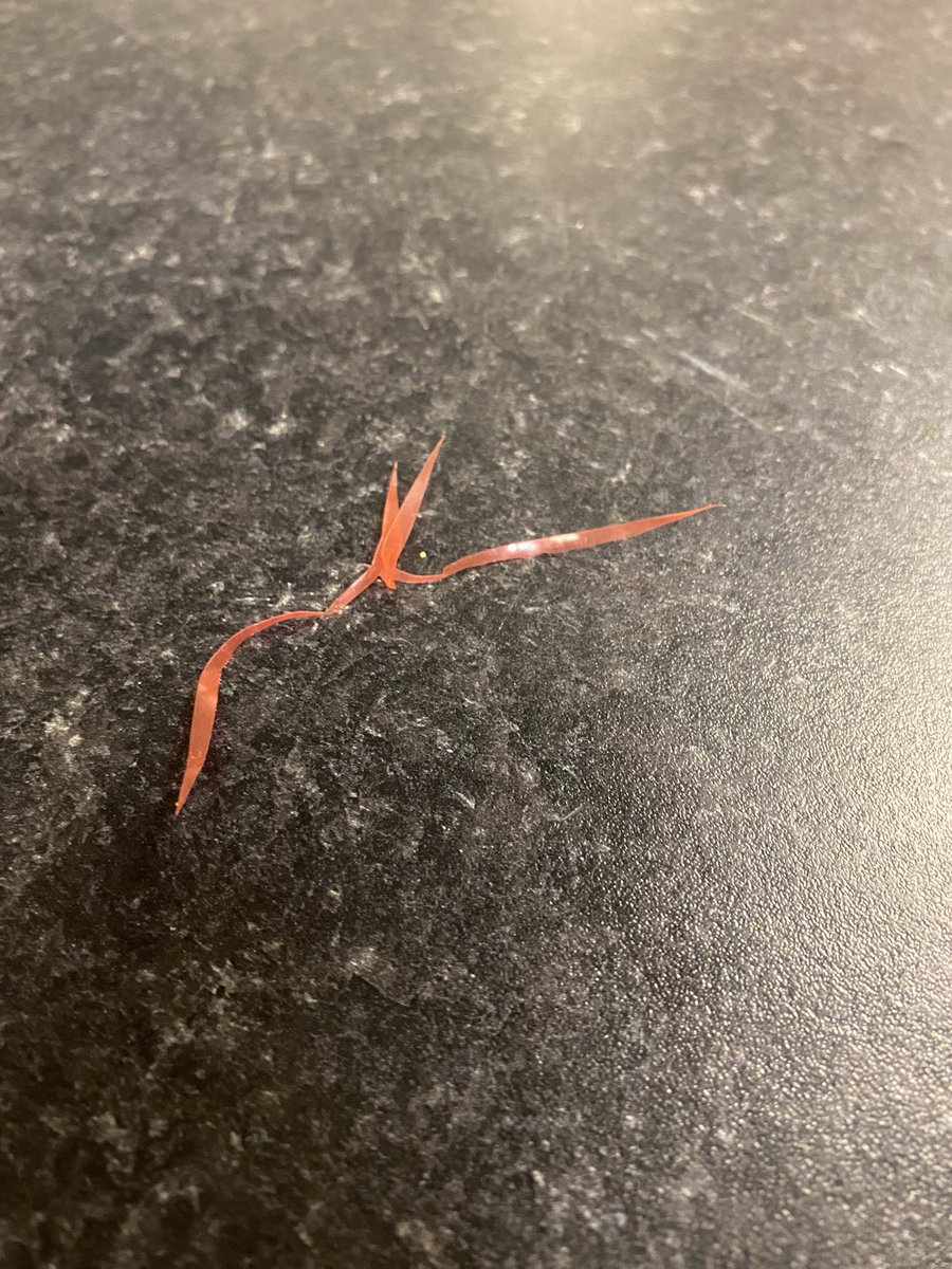 Sion Davies tweet media