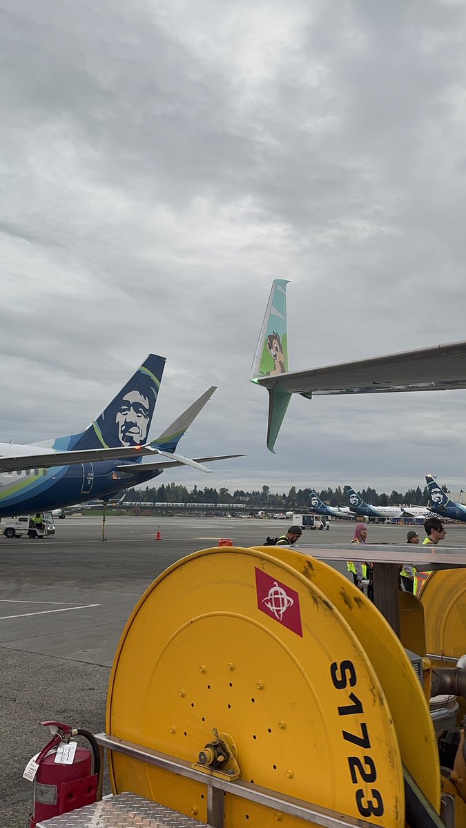 Here she is, the new @AlaskaAir @Disneyland theme plane #MickeysToonTown! #Disneyland She features two different sides which I absolutely love! Along with Chip and Dale on the winglets. What a great looking new Disney scheme! @dlnt