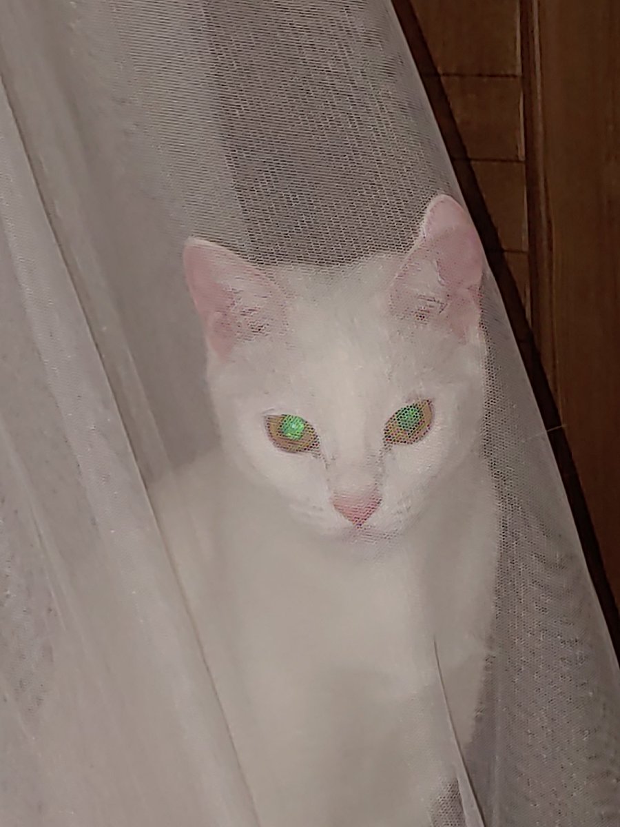 날 쥰내싫어하는게 분명해그치만 블락까진 너무하잖아 아니 내가 그분이 파는사람이랑친해서 안보여주려고그런게아닐까그래도 블락은 너무하잖아내맘을 이리저리헤집어놓다니 진짜 나빴어 고멤들한테다이를거야