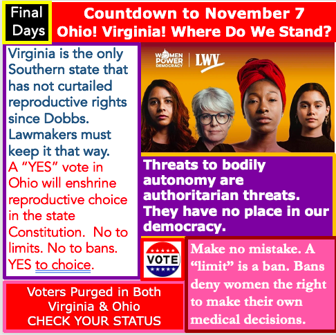 lwv_wa's tweet photo. #GenZ #VotersTomorrow #EqualityVA #RevUpVirginia #VoteReady #RightToVote #EducationalEquity #ClimateScience #EqualJustice #ReproductiveRights #MoneyOutOfPolitics #EndGunViolence @VotersTomorrow @Leaderwedeserve @LWV @LWVVA @LWVFairfax @LWV_RMA @LWVMontCoVA @LeagueRoanoke @lwvohio https://t.co/05o8PWyDea